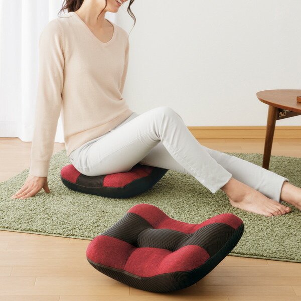 メイダイ クッション 骨盤底筋モレトレ美クス （ エクササイズ用品