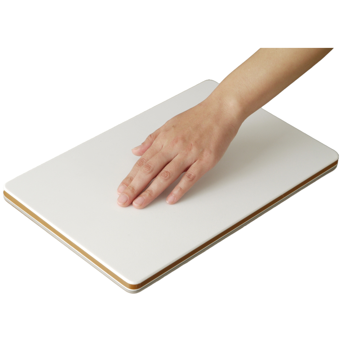 三洋化成 まな板 L 25×40cm エラストマー 食洗機対応 やわらか耐熱抗菌