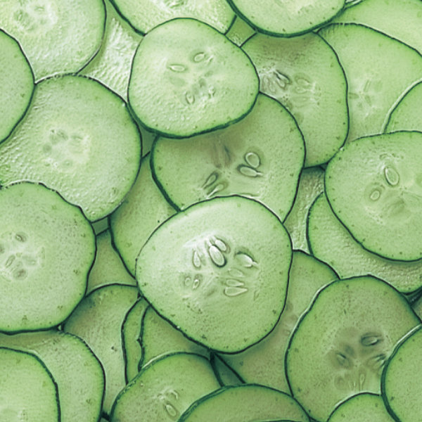 調理器セット カセット式野菜調理器セット VE...の詳細画像3