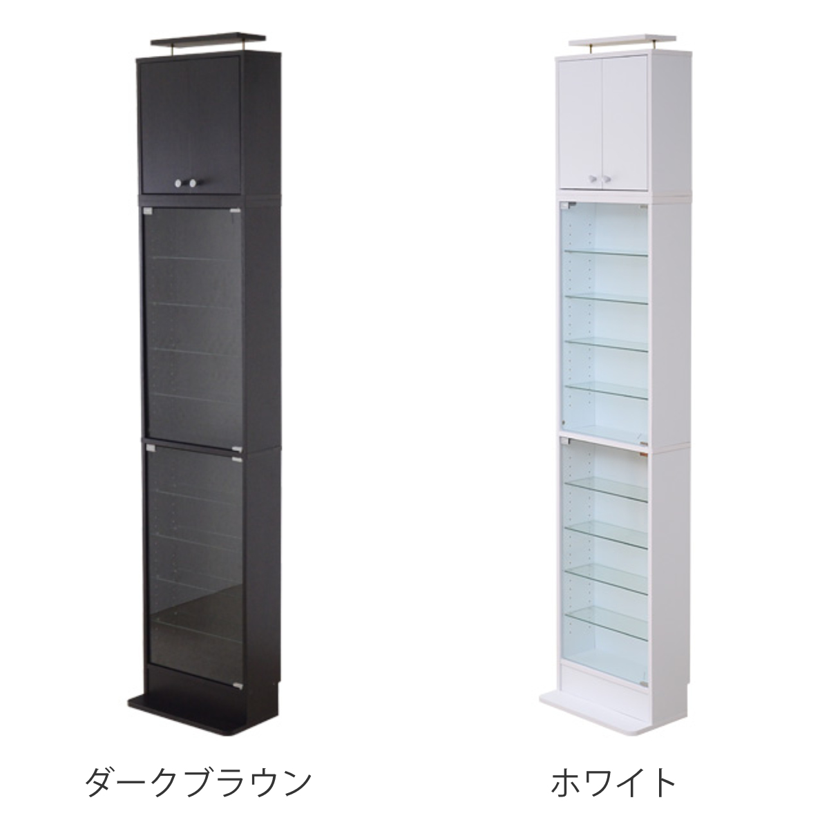 ホームテイスト（HOME taste） コレクションラック 幅48.5cm 浅型 上