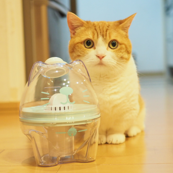 クリタック 猫 軟水 塩素除去 まるっと軟水にゃんたま 軟水化