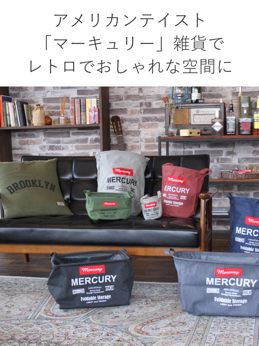 収納ケース 幅36×奥行24×高さ26cm M レクタングル マーキュリー