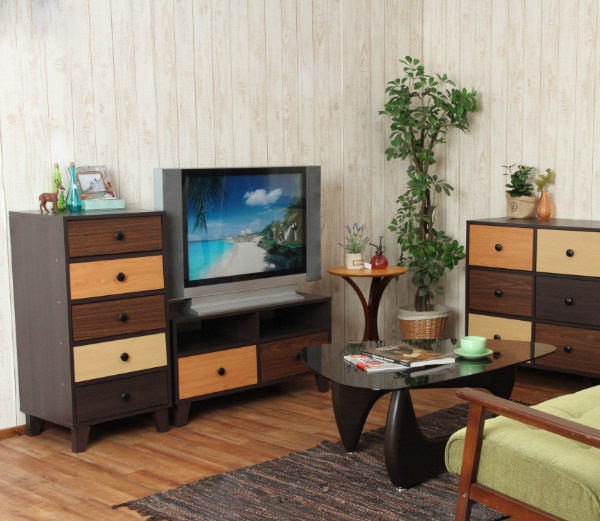 不二貿易（Fuji Boeki） テレビ台 ローボード 北欧風 2カラー前板 幅