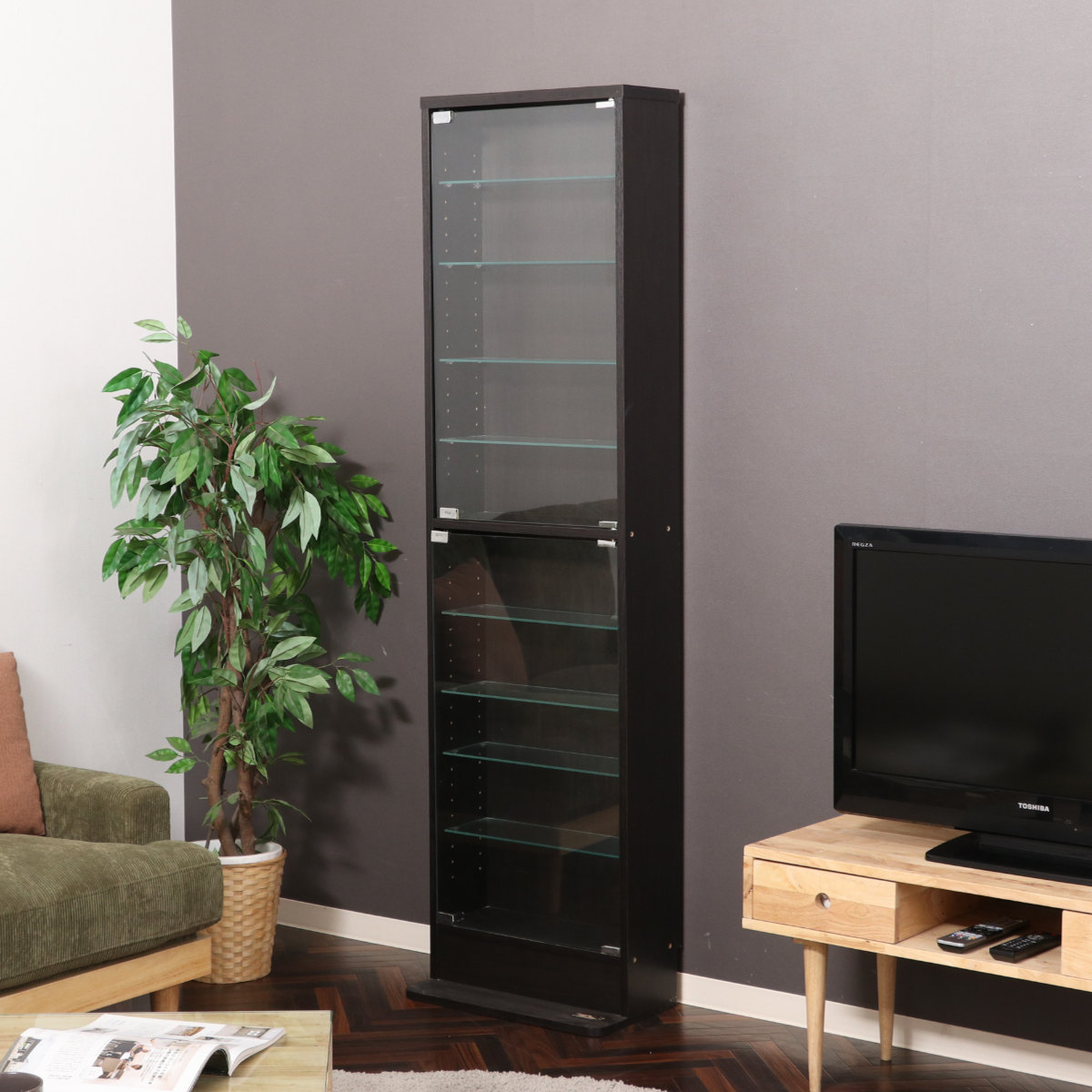 不二貿易（Fuji Boeki） コレクションケース 幅48.5cm ハイタイプ 浅型