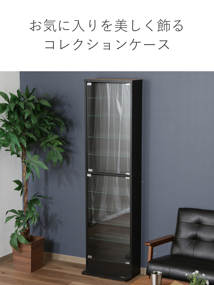 不二貿易（Fuji Boeki） コレクションケース 幅48.5cm ハイタイプ 浅型