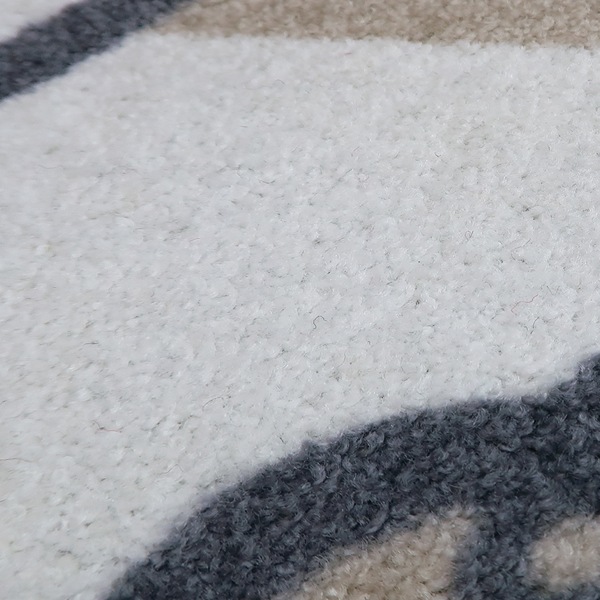 玄関マット 50×75cm 厚さ 6mm 屋内兼用 wash＋dry Home Star （ 屋外 屋内 兼用 薄型 洗える キッチン ラグ ドアマット 滑り止め おしゃれ ） | AOpen | 03