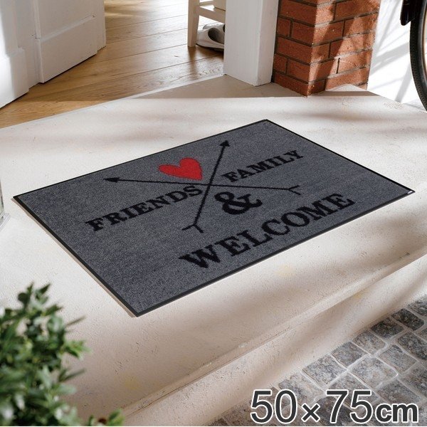 玄関マット 50×75cm 厚さ 6mm 屋内兼用 wash＋dry A Family & Friends （ 屋外 屋内 兼用 薄型 洗える キッチン ラグ ドアマット 滑り止め おしゃれ ） | AOpen