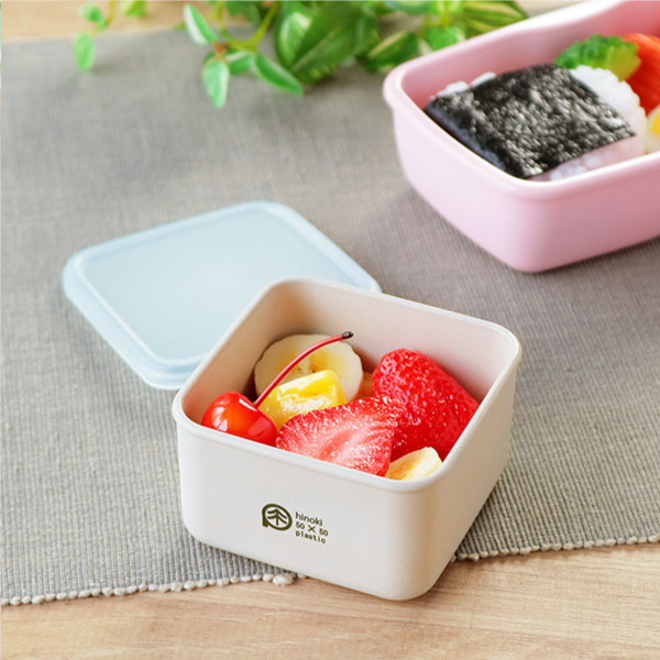 HAKOYA 弁当箱 保存容器 250ml S ひのきのぷら スクエアランチプラス