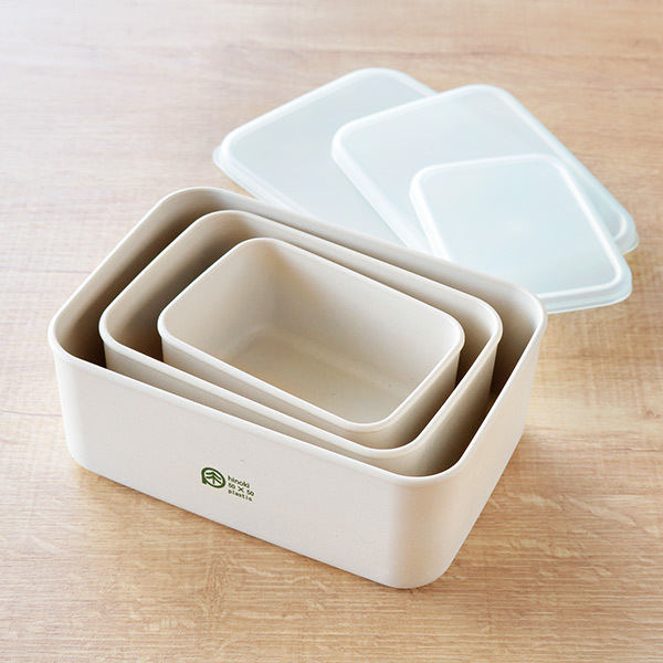 HAKOYA 弁当箱 保存容器 250ml S ひのきのぷら ランチプラス 長方形