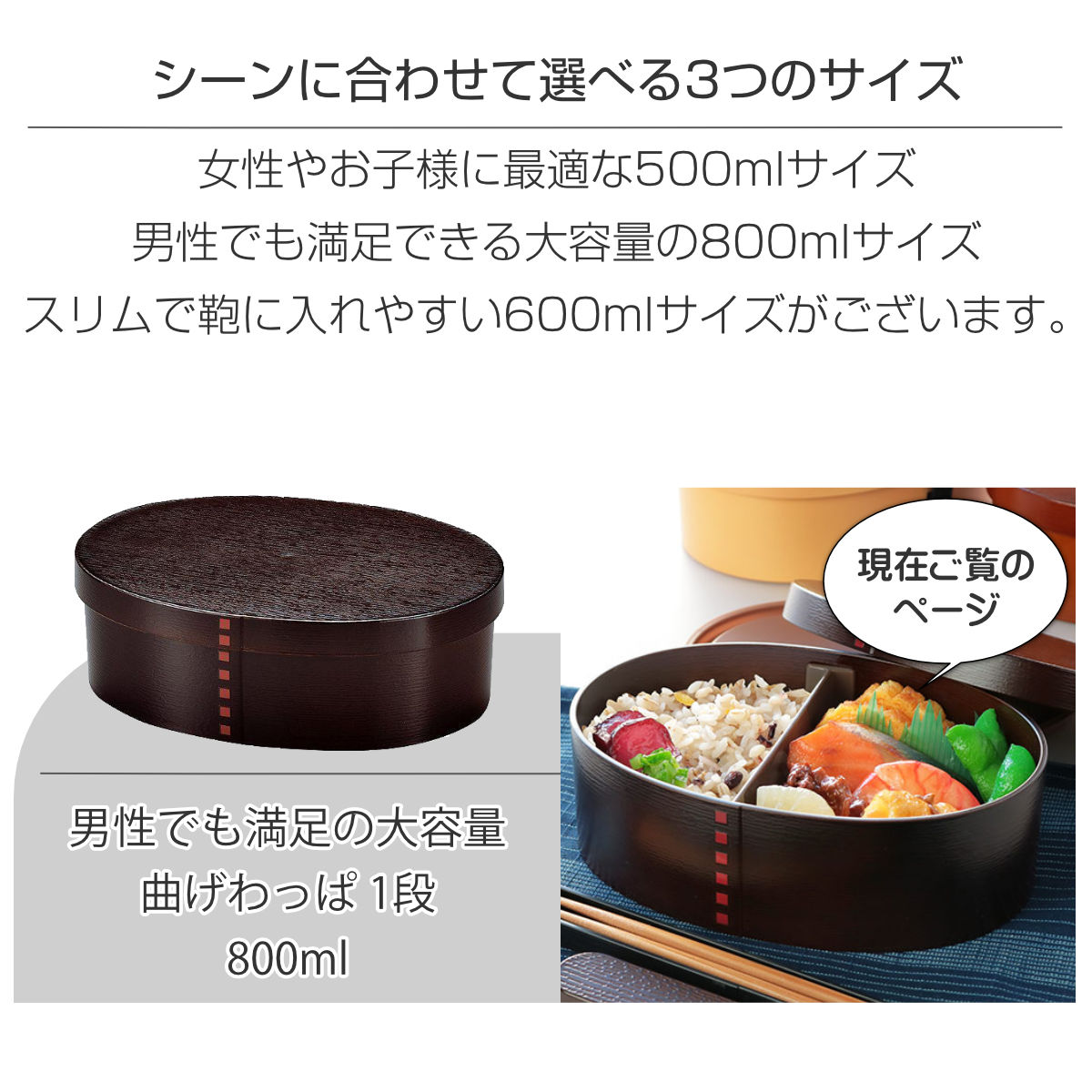 HAKOYA 特典付き 弁当箱 曲げわっぱ 800ml 1段 大 （ お弁当箱 ランチ