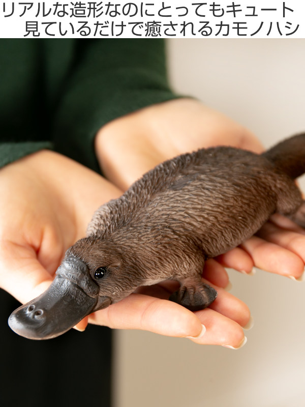 カモノハシ 貯金箱 リアル オブジェ 置物 インテリア （ 雑貨 動物