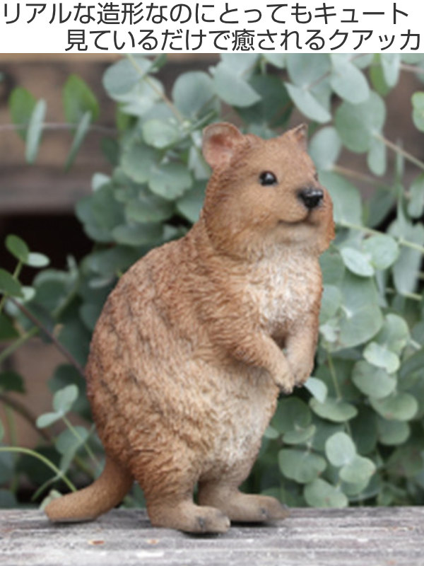 クアッカ 貯金箱 リアル オブジェ 置物 インテリア （ 雑貨 動物