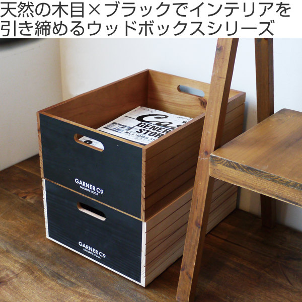 現代百貨 収納ボックス 幅28×奥行38×高さ15.6cm ボックス L