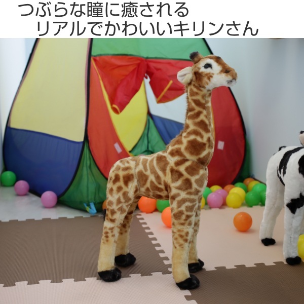 キリン オブジェ 高さ62cm ぬいぐるみ 人形 インテリア 子供 キッズ きりん （ 置物 アニマル 動物 大型 大きい 子ども 玄関 リビング  どうぶつ ） :353080:リビングート ヤフー店 - 通販 - Yahoo!ショッピング