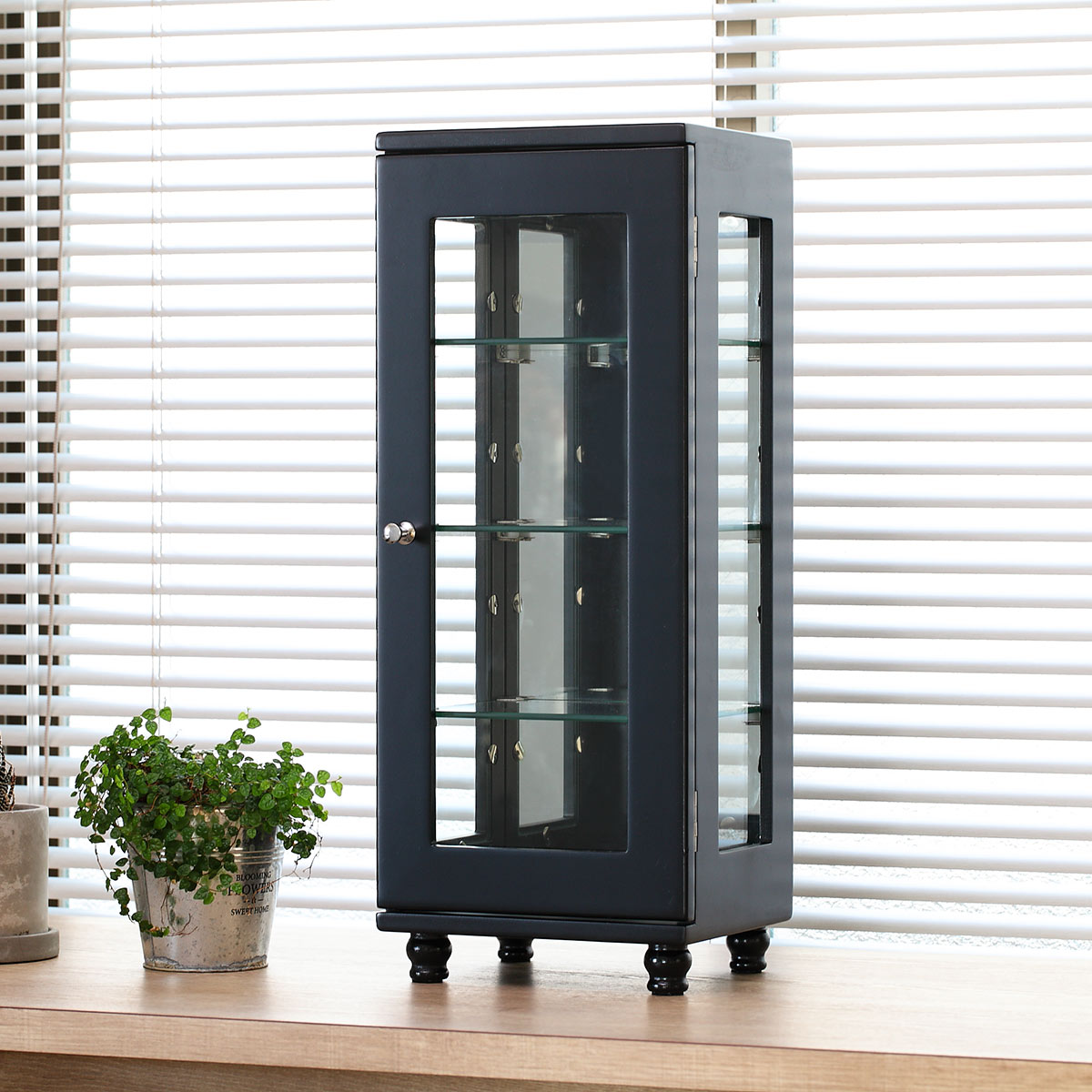 ミヤグチ企販 ミニコレクションラック ショーケース スリムタイプ 幅