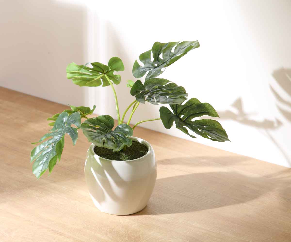 人工観葉植物 ポット モンステラ フェイクグリーン 光触媒 造花