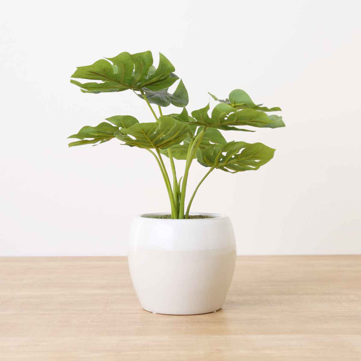 人工観葉植物 ポット モンステラ フェイクグリーン 光触媒 造花