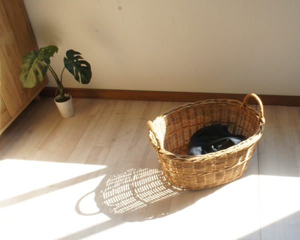 籐 バスケット 持ち手付 楕円型 ラタン製 かご 約幅56cm （ カゴ 籠