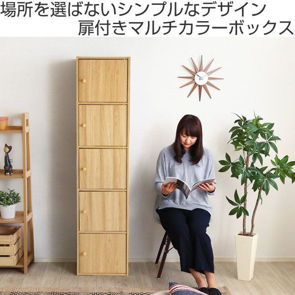 ホームテイスト（HOME taste） カラーボックス 幅41cm 5枚扉 5段