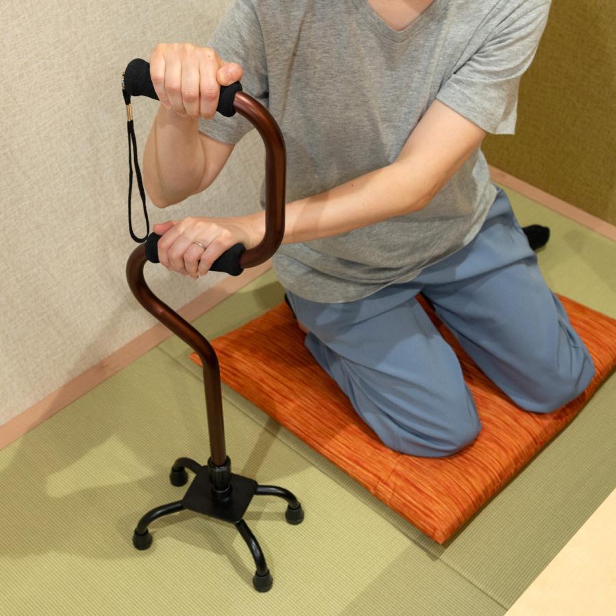 フジホーム 杖 自立式 2段型4点杖 ブラウン 非課税 （ つえ ステッキ