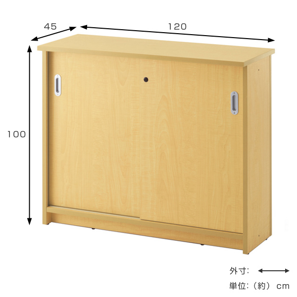 法人限定） 書庫型カウンター 幅120cm 受付 カウンター 収納 書庫 オフィス （ 受付カウンター 受付台 インフォメーション 引き戸  オフィス収納 ） : 358888 : リビングート ヤフー店 - 通販 - Yahoo!ショッピング