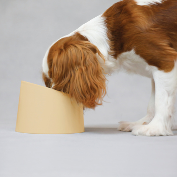 ペット 食器 撥水ペット容器 PeDISH 1 電子レンジ対応 犬 イヌ （ 台 フードボウル 食器台 ペット用品 ）