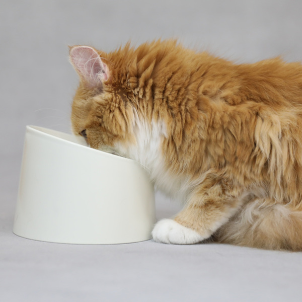 ペット 食器 撥水ペット容器 PeDISH 2 電子レンジ対応 猫 ねこ （ 台 フードボウル 食器台 ペット用品 ）
