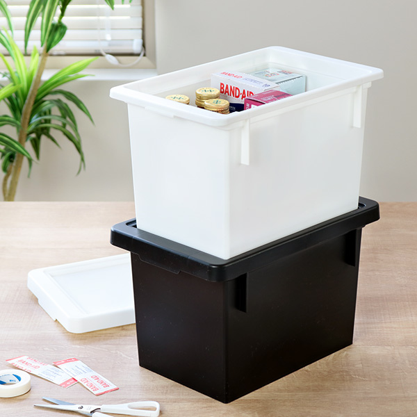 収納ボックス スリム 幅16.5×奥行26×高さ16.3cm ストスト ふた付き