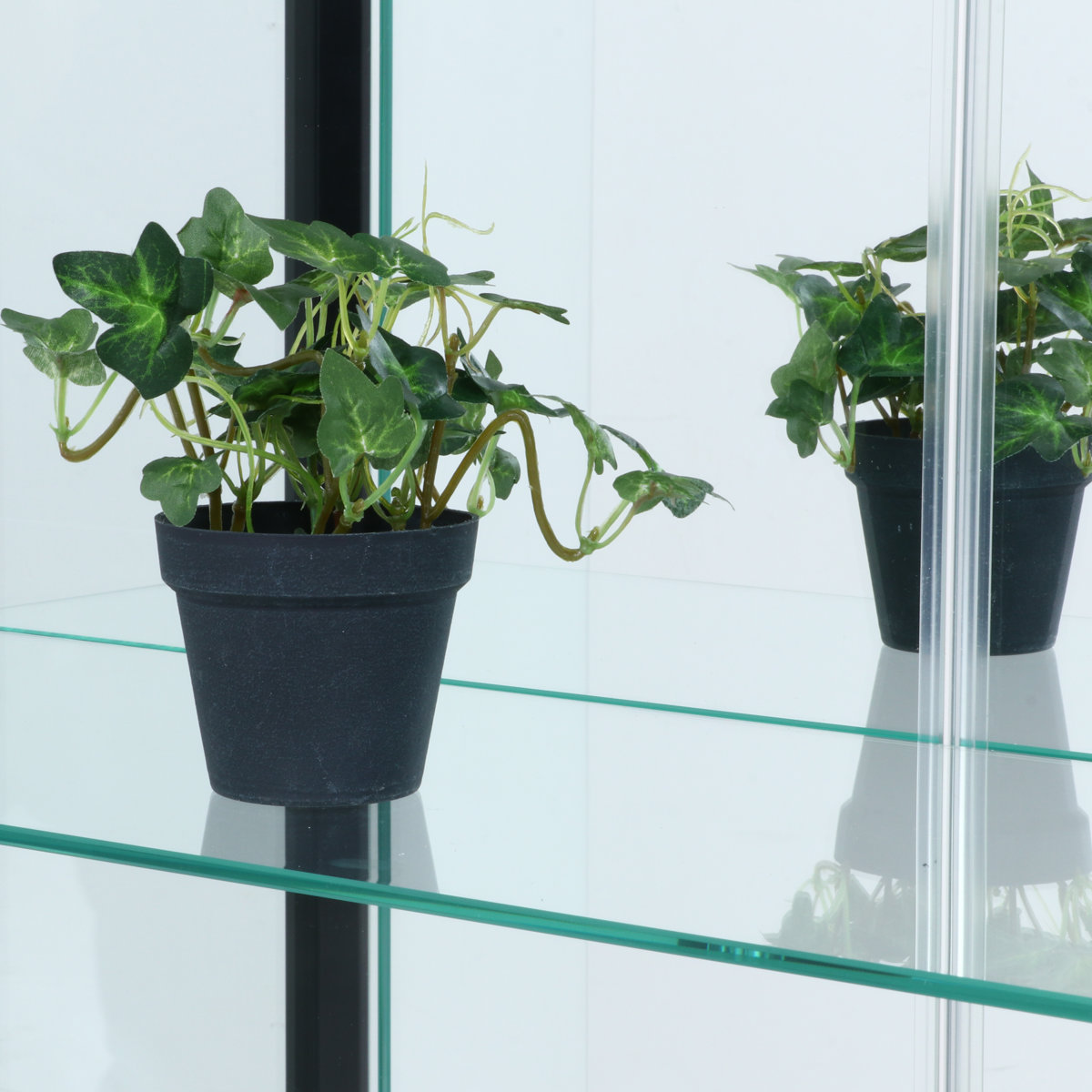 不二貿易（Fuji Boeki） ディスプレイラック 幅80cm 5段 背面ミラー 脚