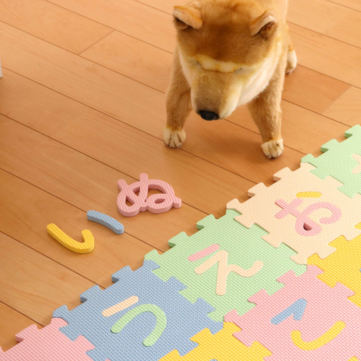 ジョイントマット 15×15cm ひらがなパズルマット 48枚組 （ フロア
