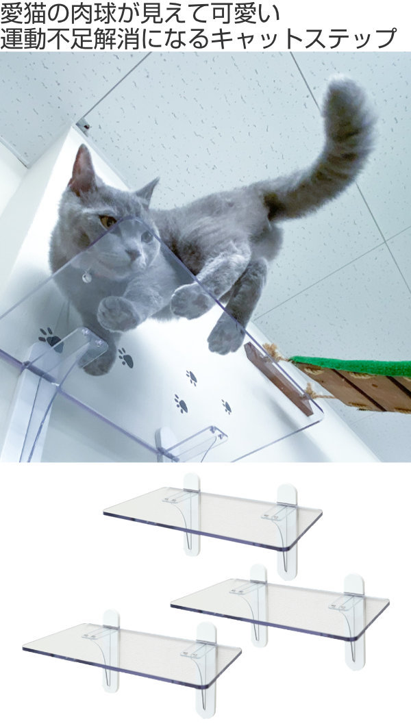 キャットステップ 3枚セット Cat Steps 壁 ワイドステップ 透明 