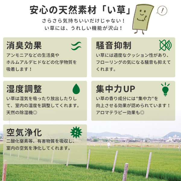ラグ い草ラグ 176×176 ラグマット い...の詳細画像4