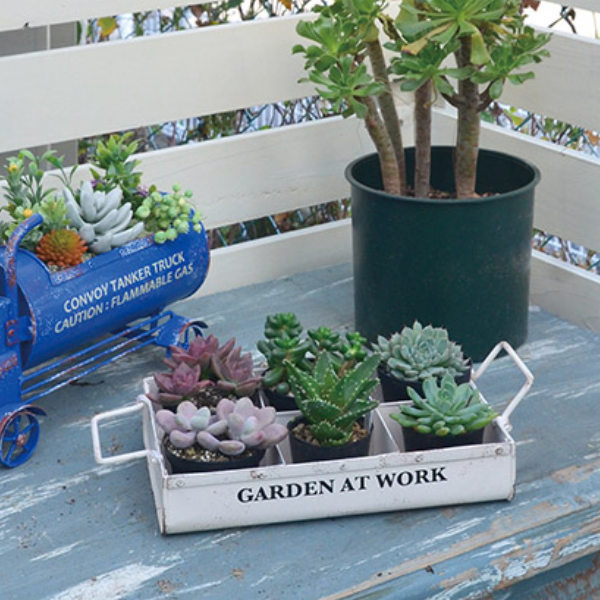 ガーデニング収納 プランター シックスボックスメタルトレー プラントポット 植木鉢ポット 植木鉢 カバー 仕切り付き インテリアパレットヤフー店 通販 Yahoo ショッピング
