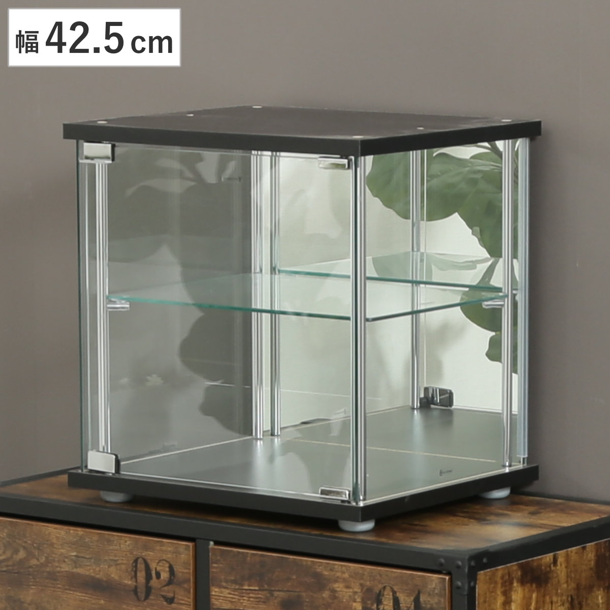 不二貿易（Fuji Boeki） コレクションボックス 幅42.5cm 2段 キューブ