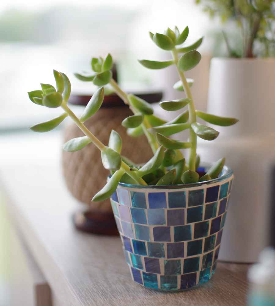 プランター 植木鉢 モザイクガラスプラントポット S ソーサー付き