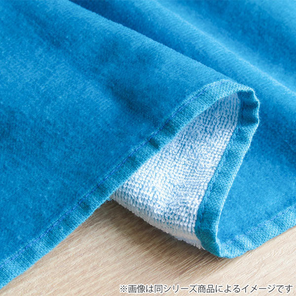 Pokemon（ポケモン） ビーチタオル 70×140cm ポケットモンスター