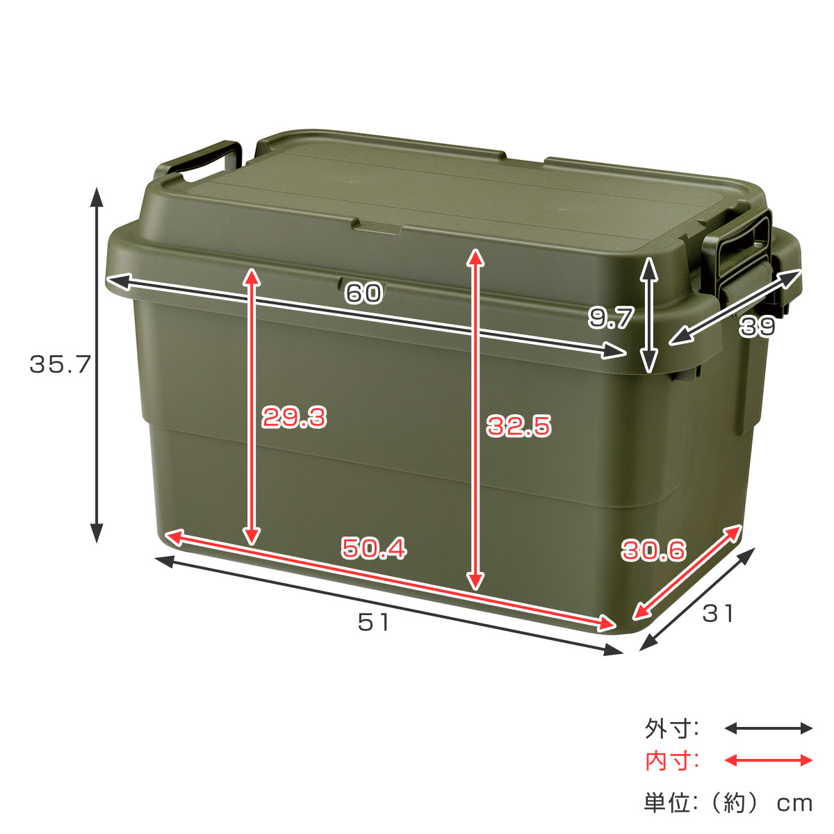 RISU（リス） 収納ボックス 幅60×奥行39×高さ35.7cm トランクカーゴ