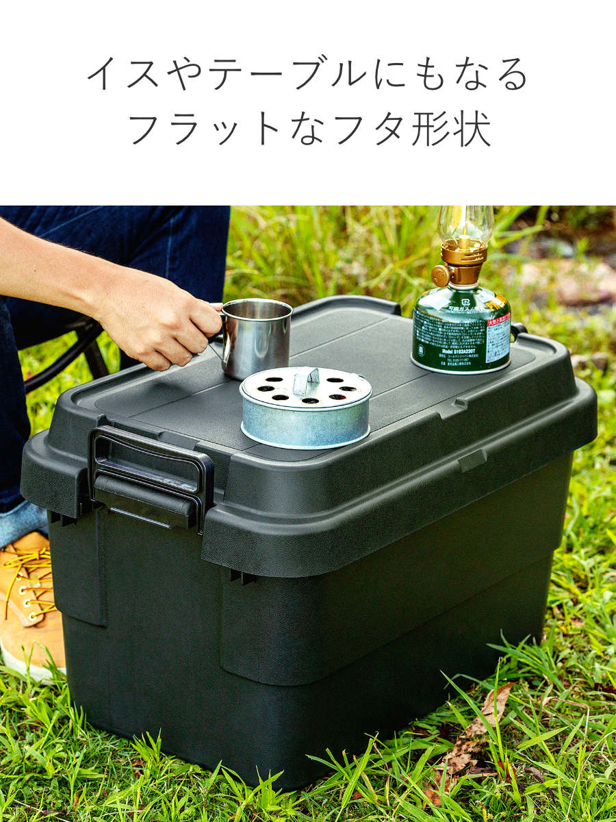 RISU（リス） 収納ボックス 幅60×奥行39×高さ35.7cm トランクカーゴ