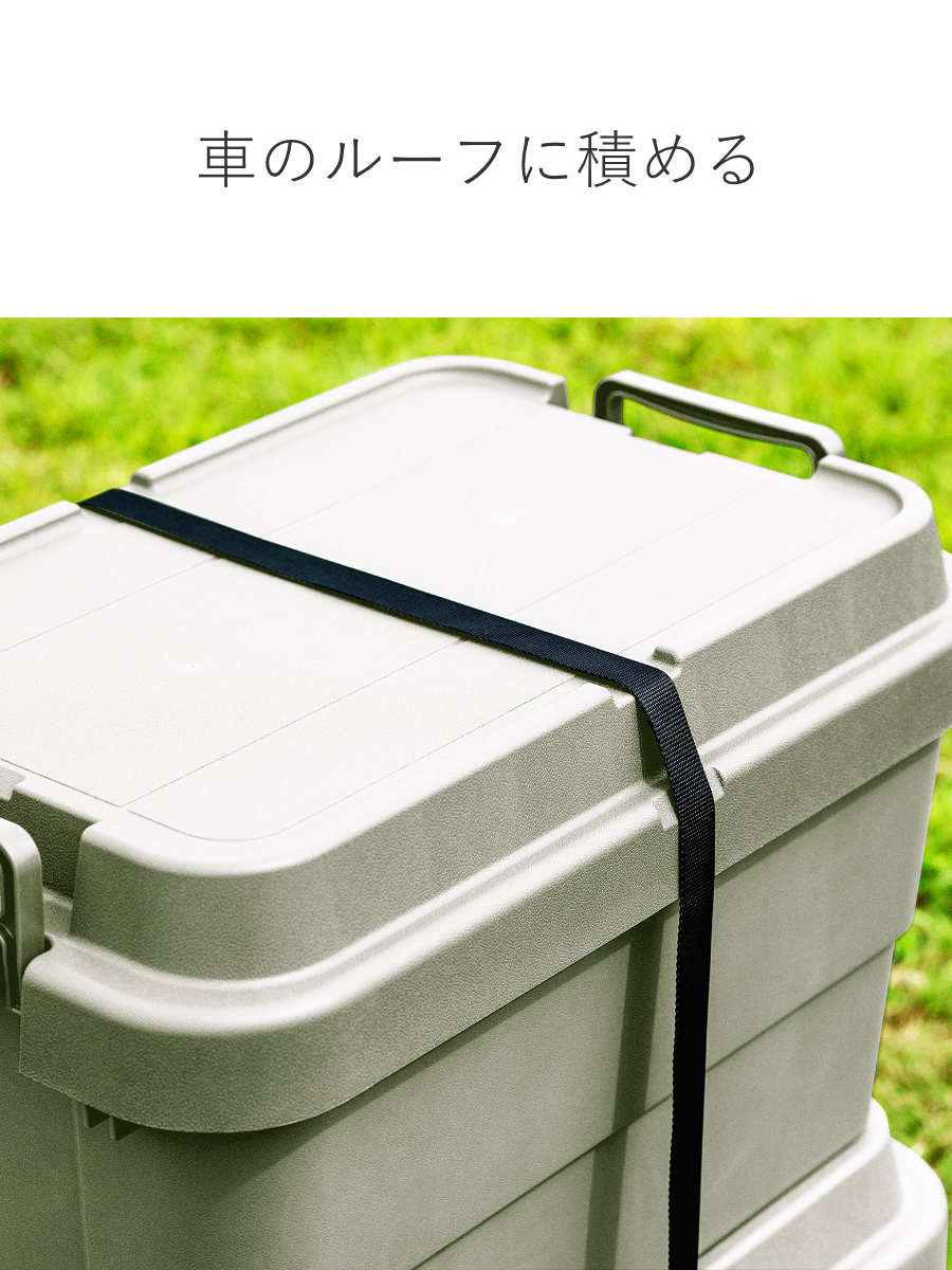 RISU（リス） 収納ボックス 幅60×奥行39×高さ35.7cm トランクカーゴ