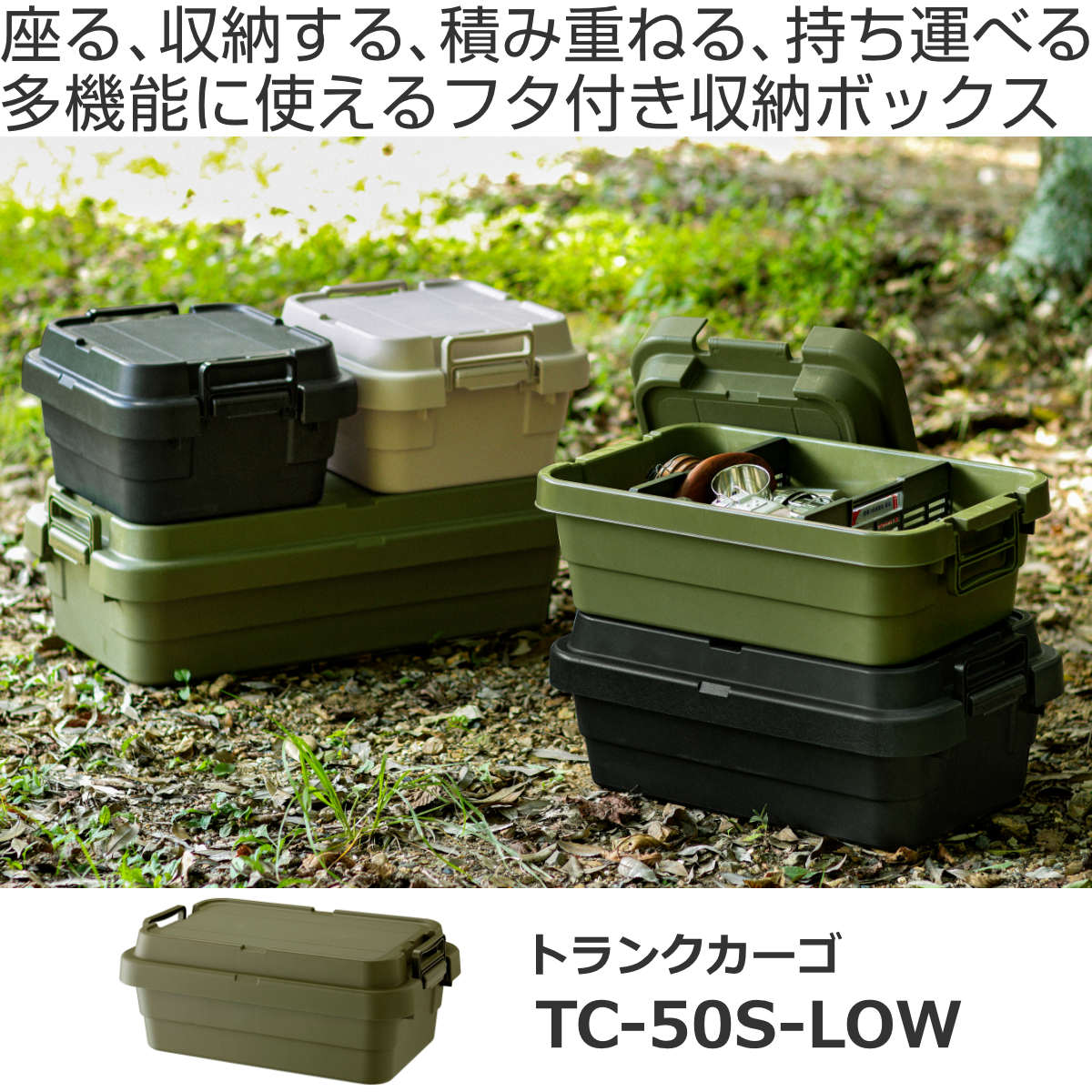 RISU（リス） 収納ボックス トランクカーゴ LOW TC-50S 30L 幅60×奥行