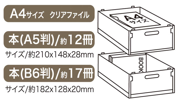 スケーター コンテナ M ポケットモンスター ポケデイズ 折りたたみ