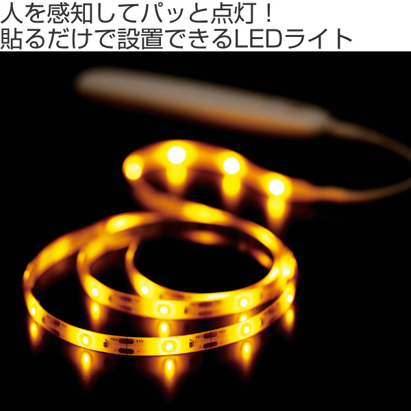 メイダイ センサーライト 工事がいらないセンサーライト （ 人感センサーライト 室内 テープライト 電池 LEDライト ） : リビングート ...