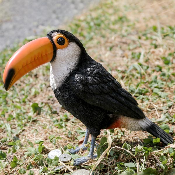 貯金箱 オニオオハシ トーカン リアル オブジェ 置物 インテリア
