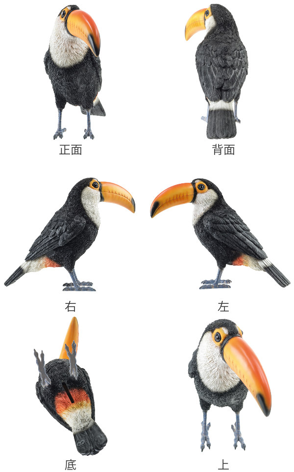 貯金箱 オニオオハシ トーカン リアル オブジェ 置物 インテリア