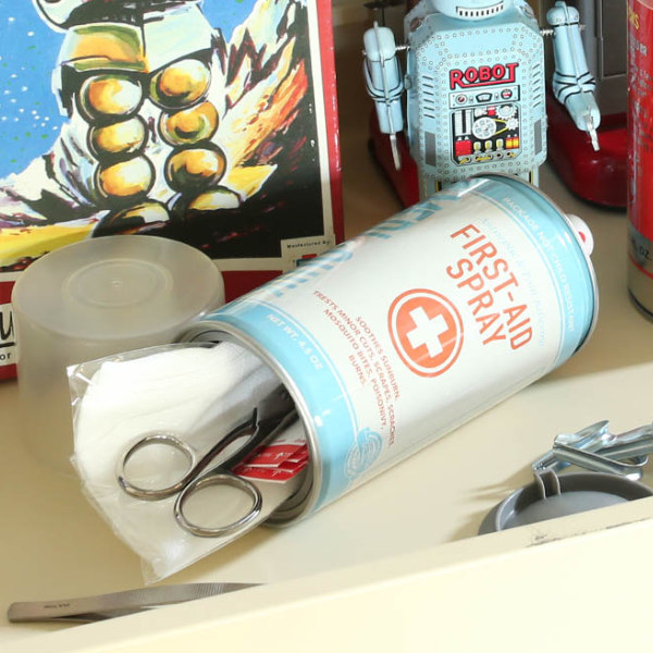 DULTON（ダルトン） 小物入れ スタッシュセーフスプレーカン （ DULTON