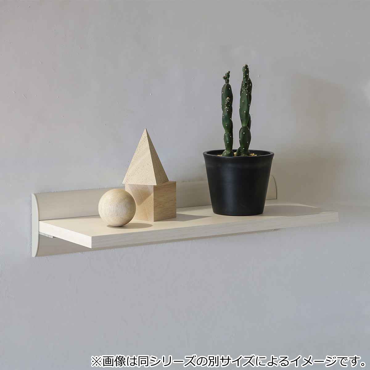 シェルフ 幅120cm ラージ 壁面収納 （ ウォールシェルフ ラック 壁