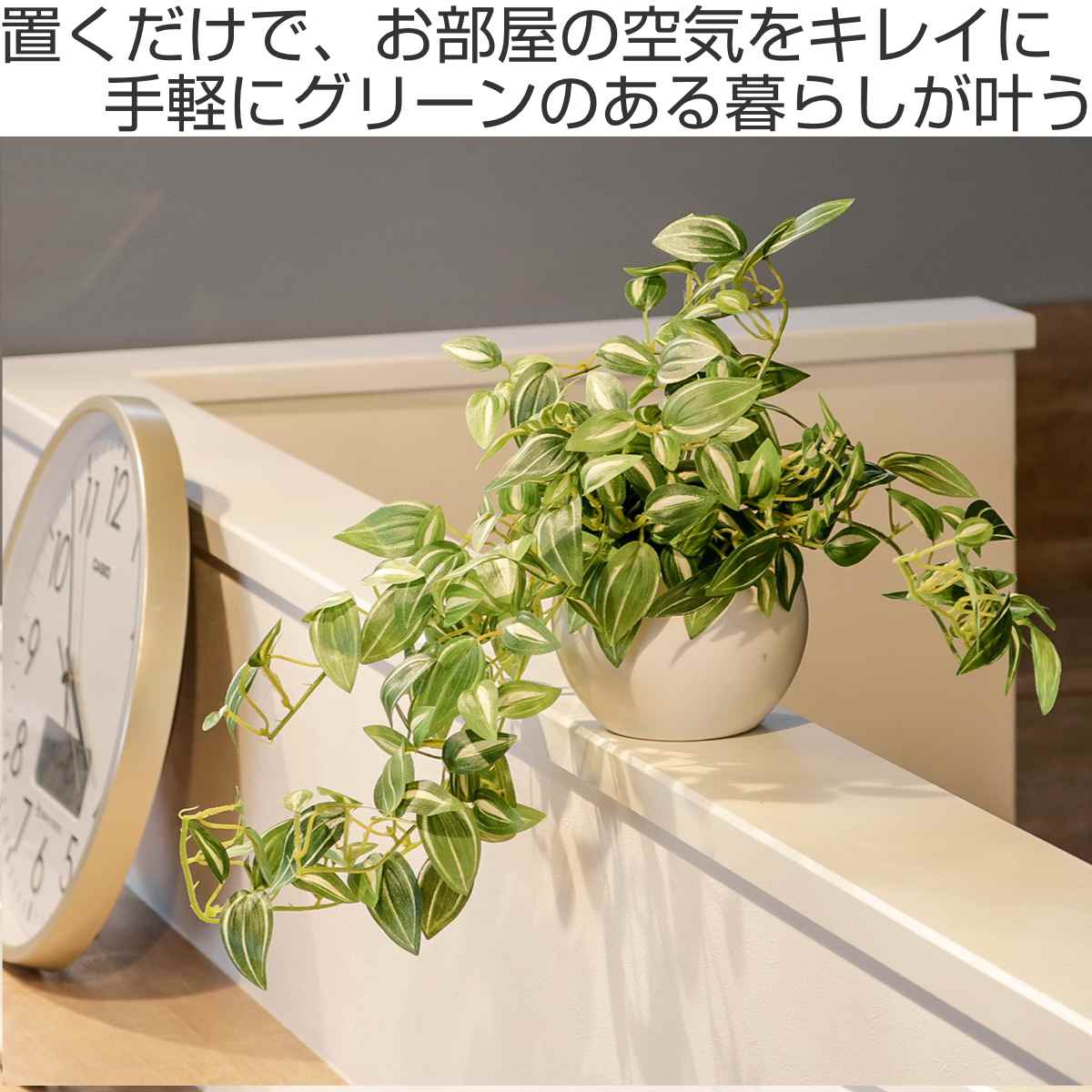 キシマ（KISHIMA） フェイクグリーン セブリナ エクリア ハンギング