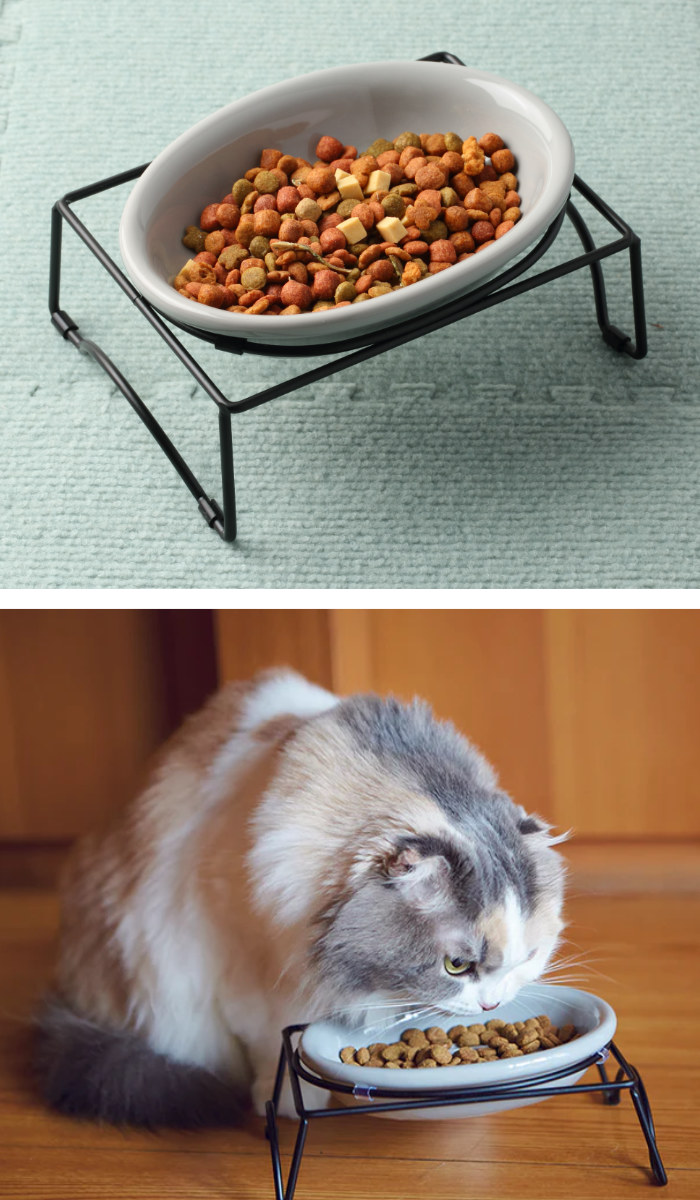 猫 猫用 食器 ボウル シングルセット AppeTIT アペティ CAT OVAL 猫 猫用 食器 ボウル シングルセット AppeTIT アペティ CAT OVAL