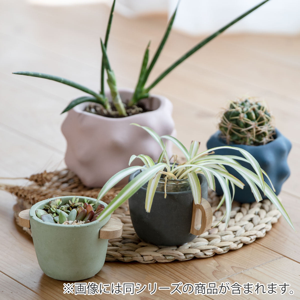 プランター ポアニェ マグポット （ 植木鉢 プラントポット 鉢植え 鉢