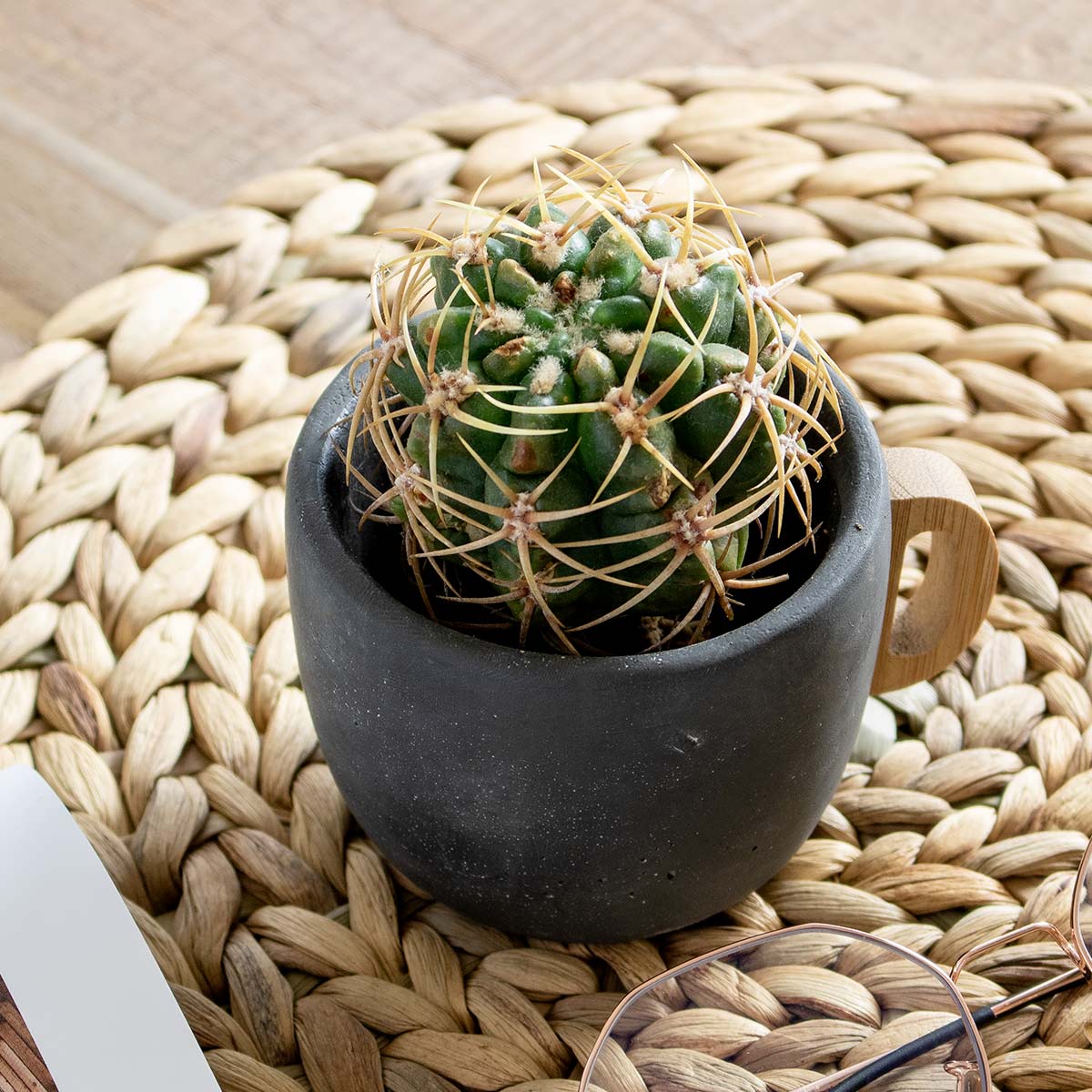 プランター ポアニェ マグポット （ 植木鉢 プラントポット 鉢植え 鉢